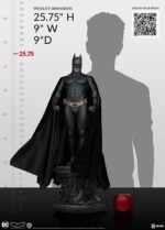 Batman Begins - Premium Format - - Imagen 2