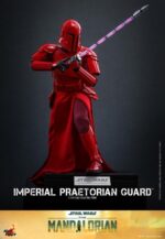 The Mandalorian: Imperial Praetorian Guard - Imagen 4