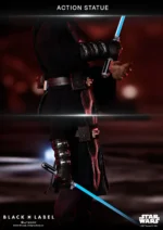 Star Wars EP III: Anakin Skywalker (Black Label 002) - Imagen 9