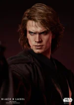 Star Wars EP III: Anakin Skywalker (Black Label 002) - Imagen 6