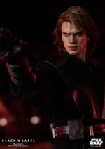 Star Wars EP III: Anakin Skywalker (Black Label 002) - Imagen 7
