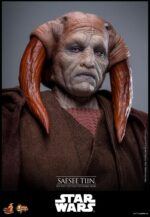 Star Wars: Revenge of the Sith - Saesee Tiin - - Imagen 5