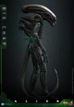 Alien (1979): Big Chap - Imagen 4