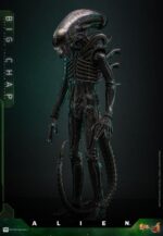 Alien (1979): Big Chap - Imagen 8