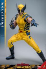 Deadpool & Wolverine: Wolverine (Deluxe Ver.) - Imagen 14