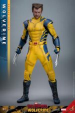 Deadpool & Wolverine: Wolverine (Deluxe Ver.) - Imagen 6