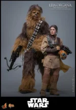 Star Wars: Return of the Jedi - Leia Organa (Boushh Disguise) - - Imagen 11