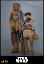 Star Wars: Return of the Jedi - Leia Organa (Boushh Disguise) - - Imagen 10