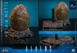 Aliens: Ellen Ripley (Deluxe Version) - Imagen 17