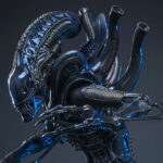 Aliens: Alien Warrior