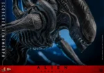 Alien: Romulus - Scorched Xenomorph - - Imagen 15