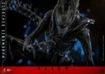 Alien: Romulus - Scorched Xenomorph - - Imagen 14