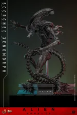 Alien: Romulus - Scorched Xenomorph - - Imagen 3