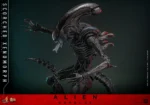 Alien: Romulus - Scorched Xenomorph - - Imagen 13