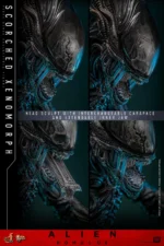 Alien: Romulus - Scorched Xenomorph - - Imagen 8