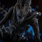 Alien: Romulus - Scorched Xenomorph -